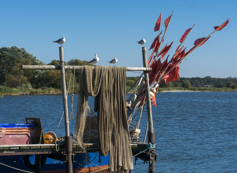 Fischerhafen von Kamminke