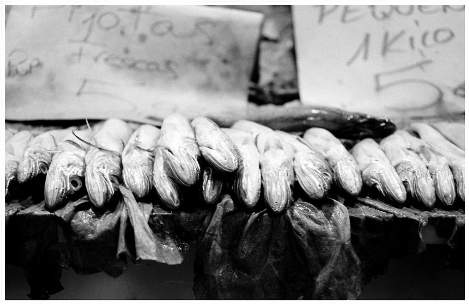 Fischmarkt I.jpg..jpg.