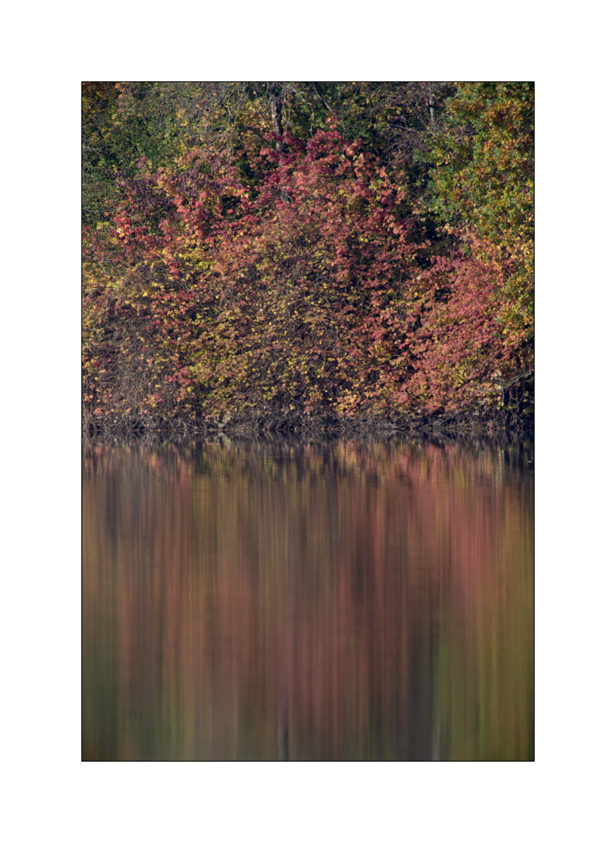 FlachDSC_2902.jpg