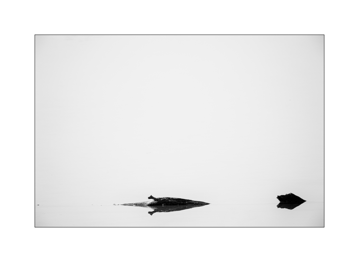 FlachDSC_2905.jpg