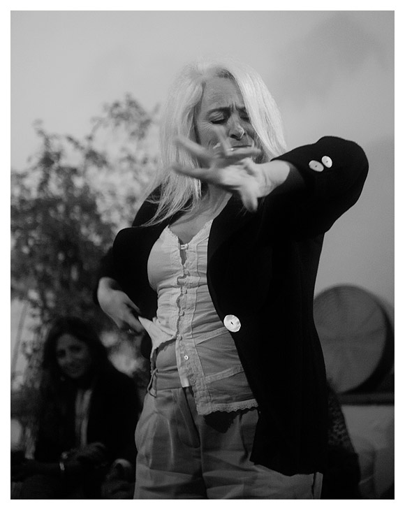 flamenco 2