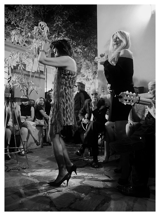 flamenco 3
