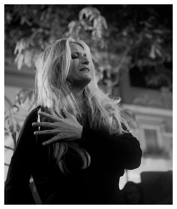 flamenco 8