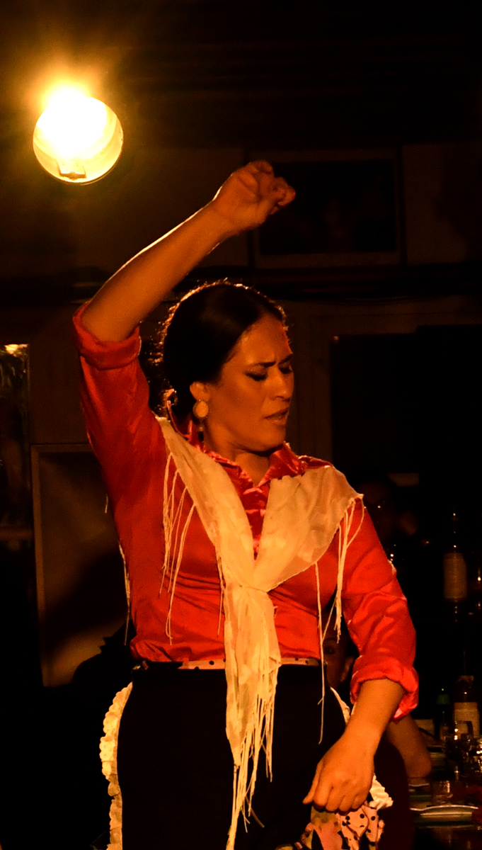 Flamenco.Granada.6.jpg