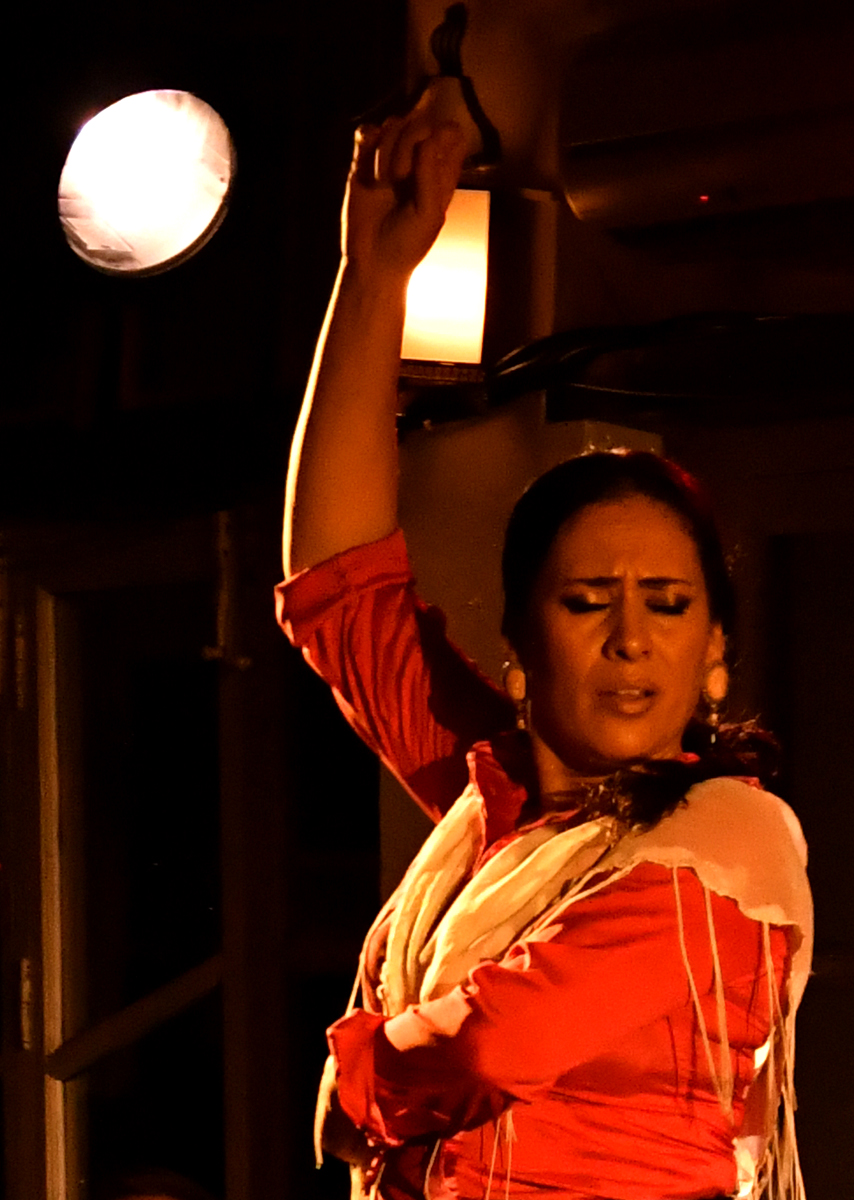 Flamenco.Granada.az.1.jpg