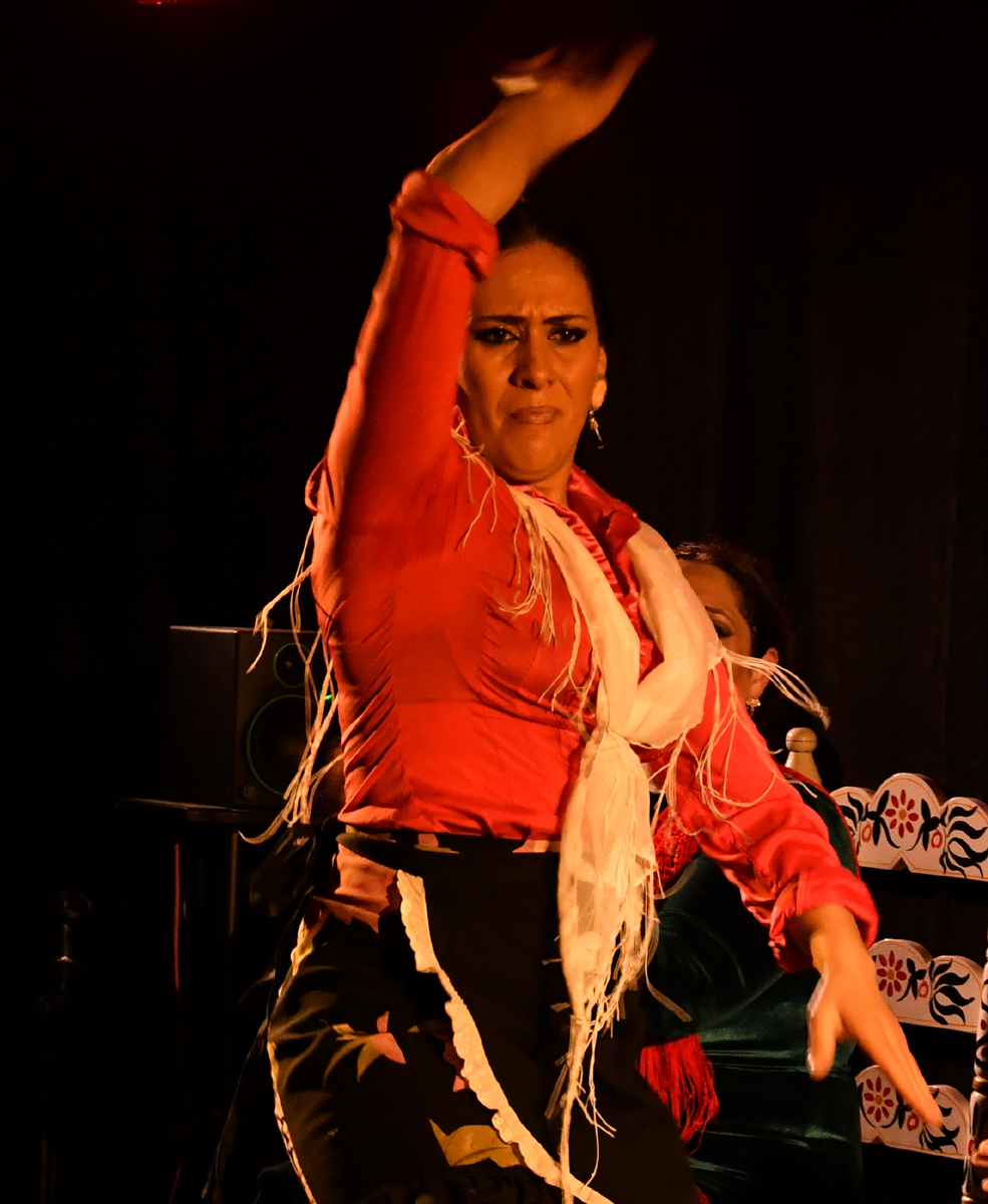 Flamenco.Granada7.jpg