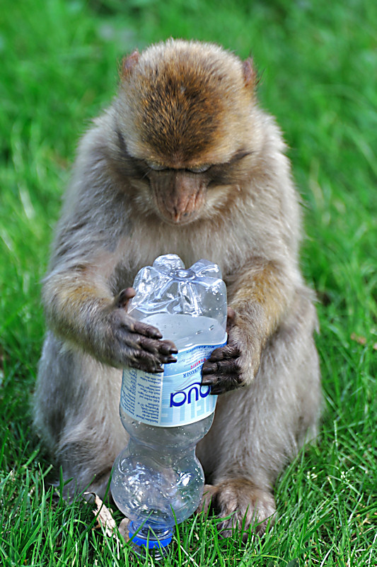 Flasche leer 2