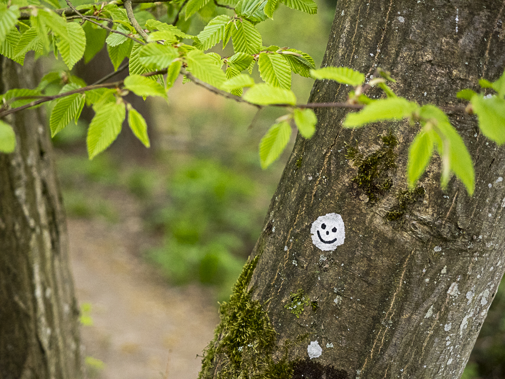 Flechten-Smiley