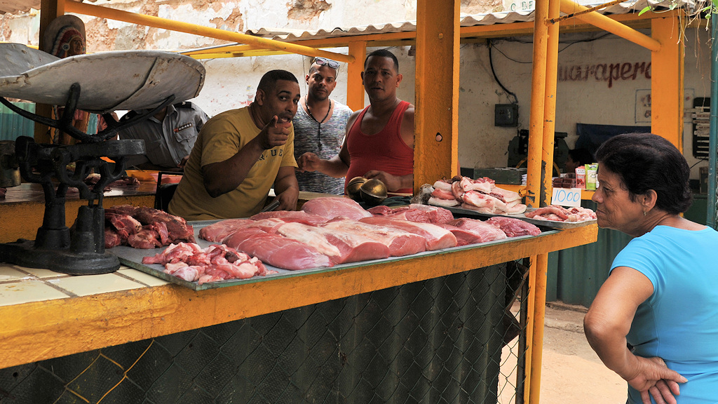 Fleisch 4688