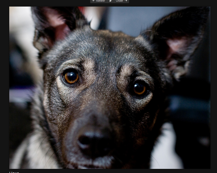 FLICKR
