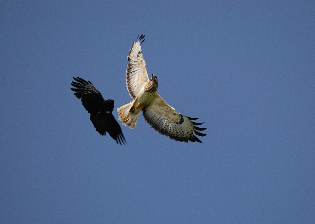 Fliegeralarm 3