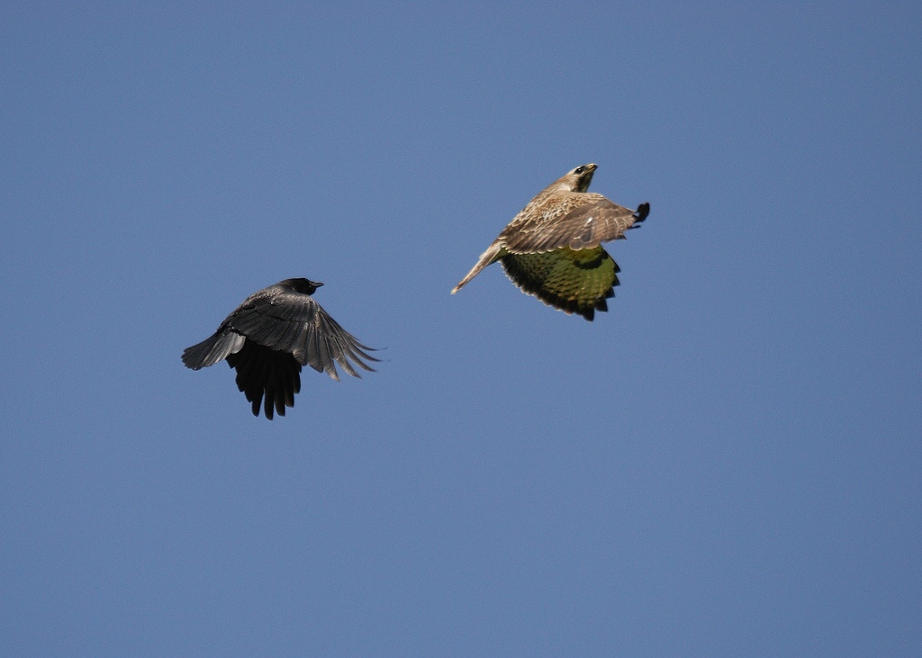 Fliegeralarm 3