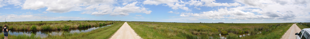 Florida - Everglades 2011