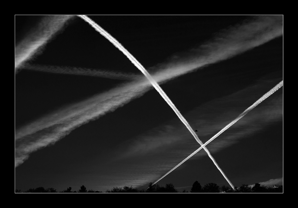 FlugbahnenDSC 0088