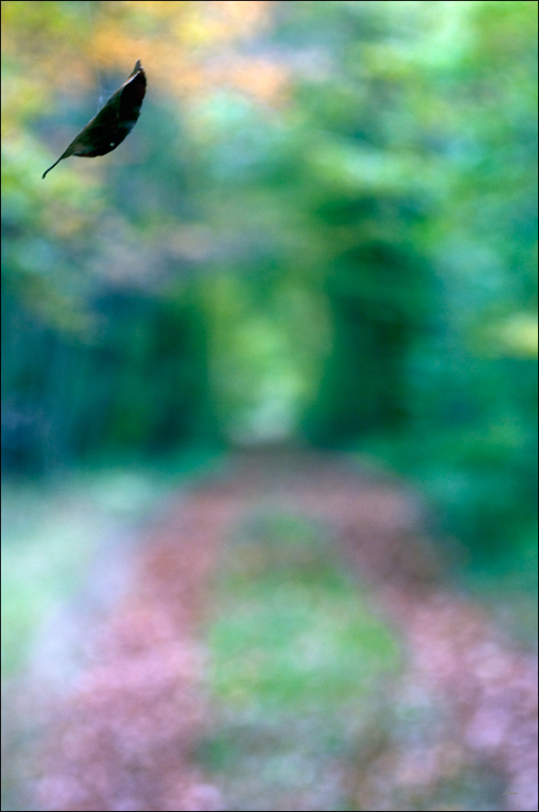 FlugblattDSC 0119