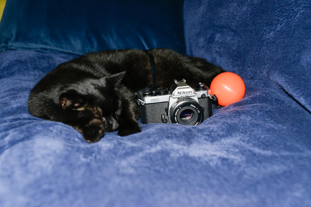 FM 2  8