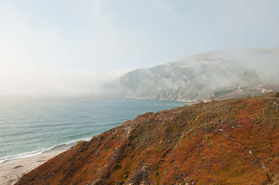 Fog 1