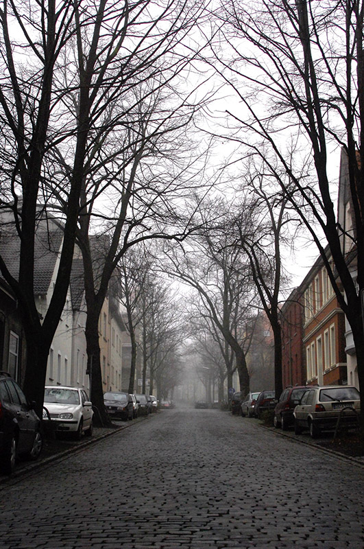 fog