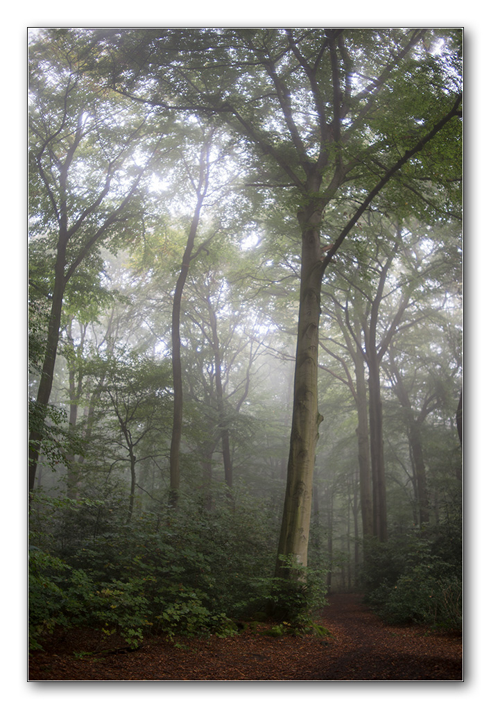 fog5