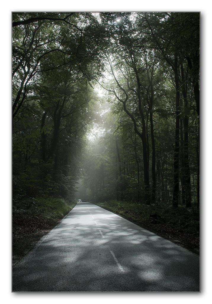 fog6