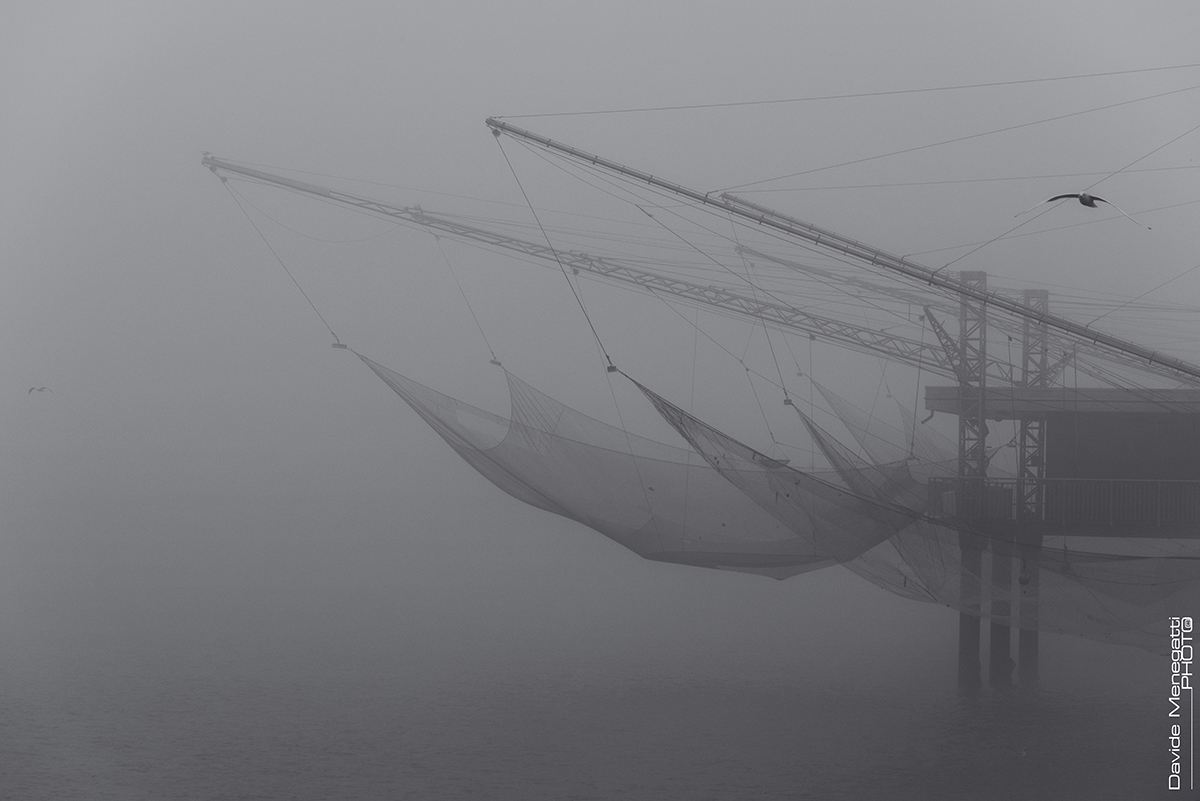 Foggy Day