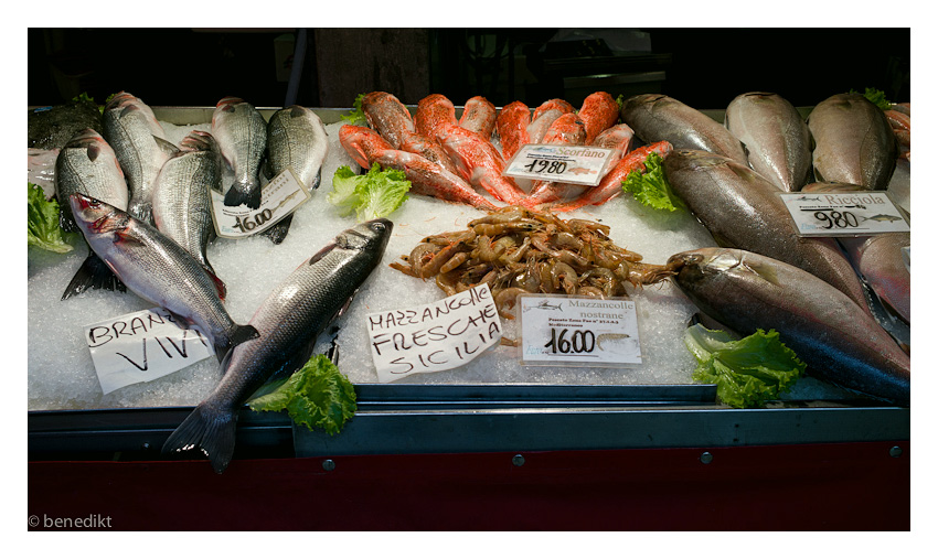 food 1007294