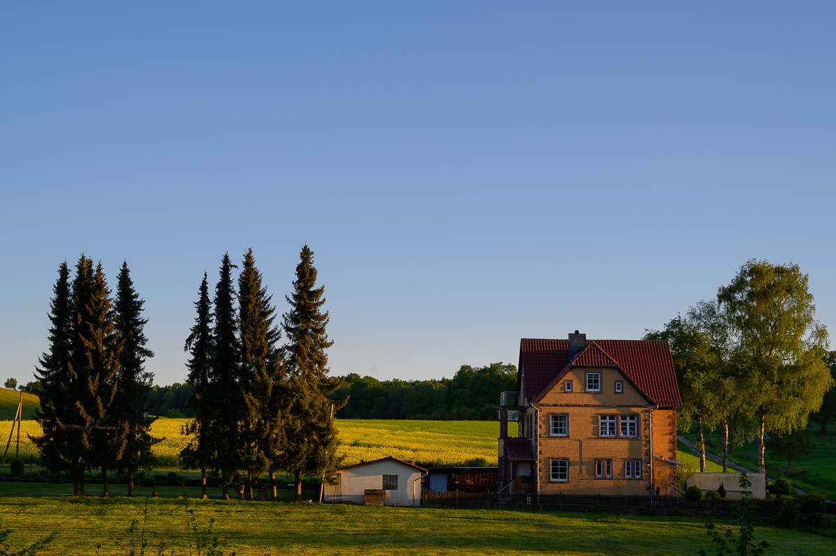 Forsth_For_PZ6_8083.jpg