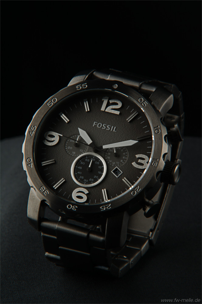 fossil