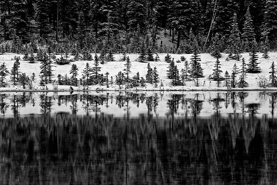Foto von Calgary617