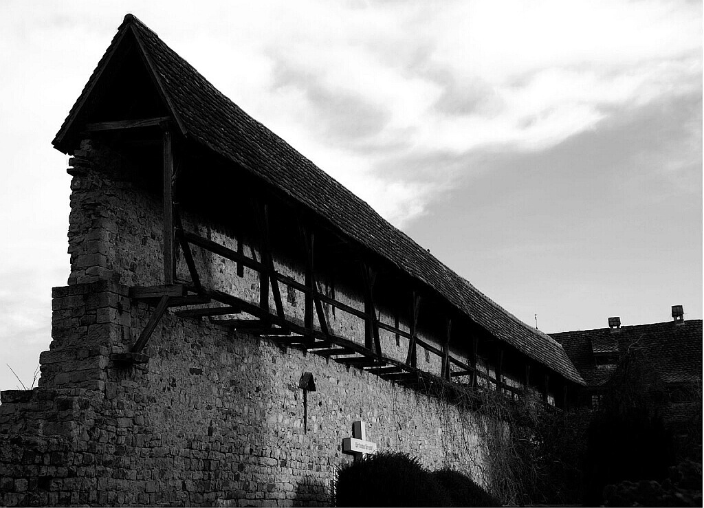 Foto001