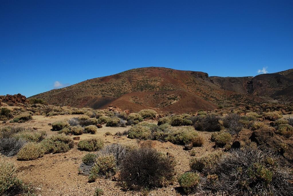 Foto001