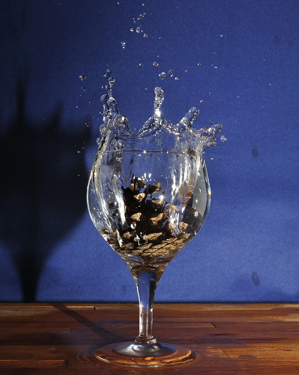 Fotoforum Glas 8 (5)