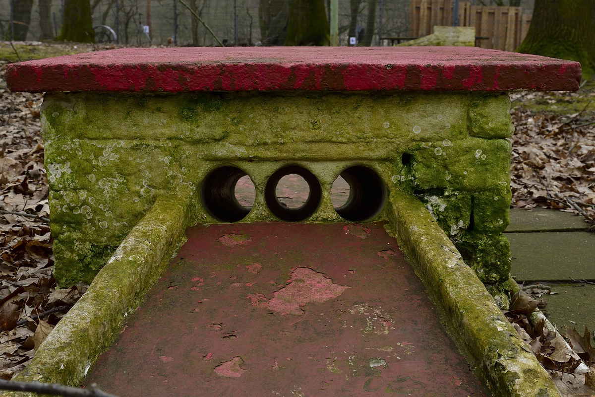 Fotoforum Loch 7 (2)