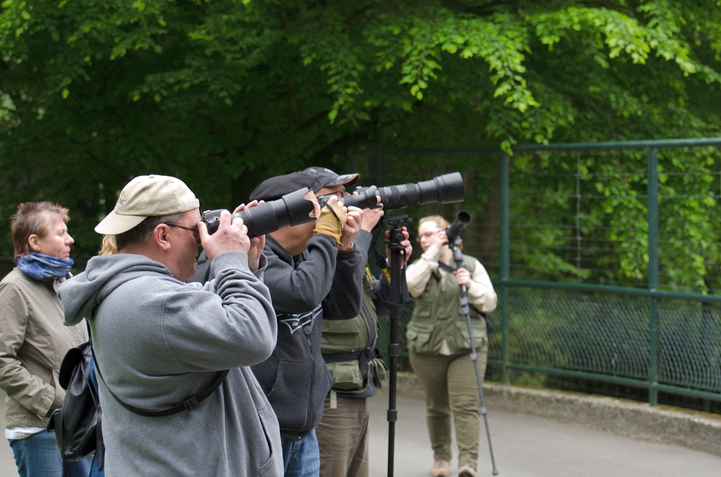 Fotografen in freier Wildbahn