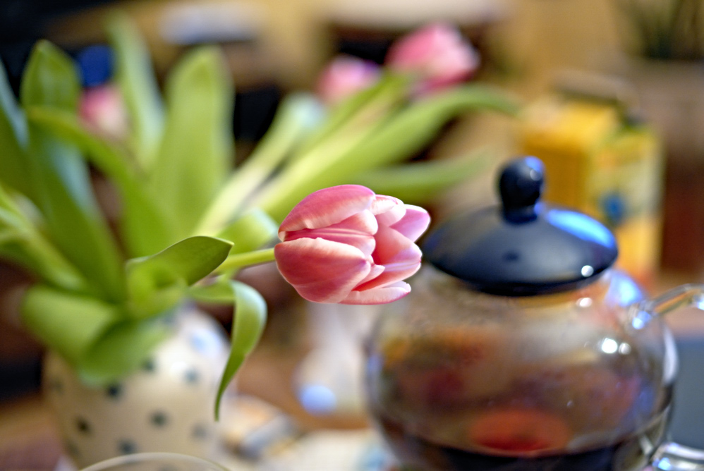 Fotografiert mit SIGMA 30/1.4 (Offenblende)