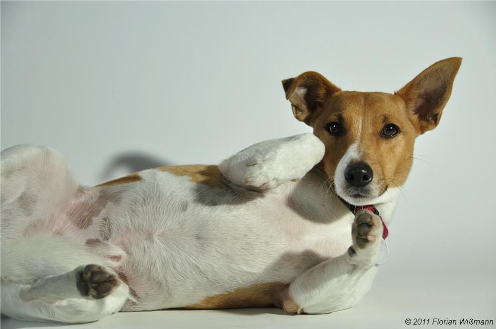 Fotoshooting