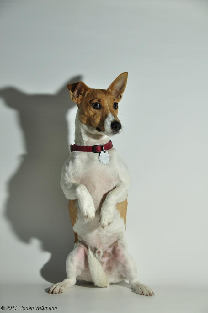 Fotoshooting