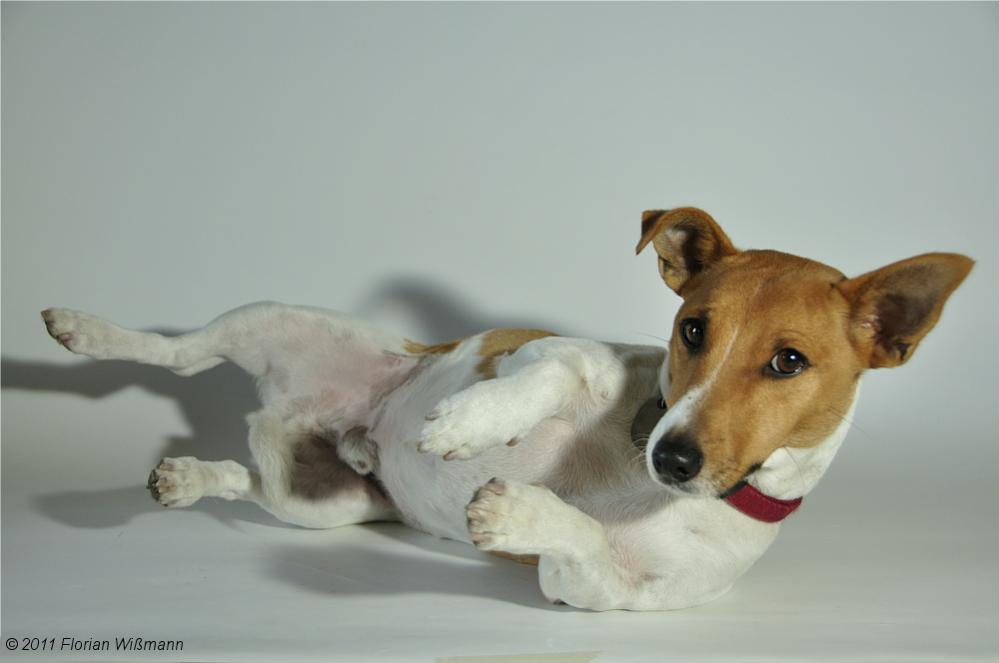 Fotoshooting