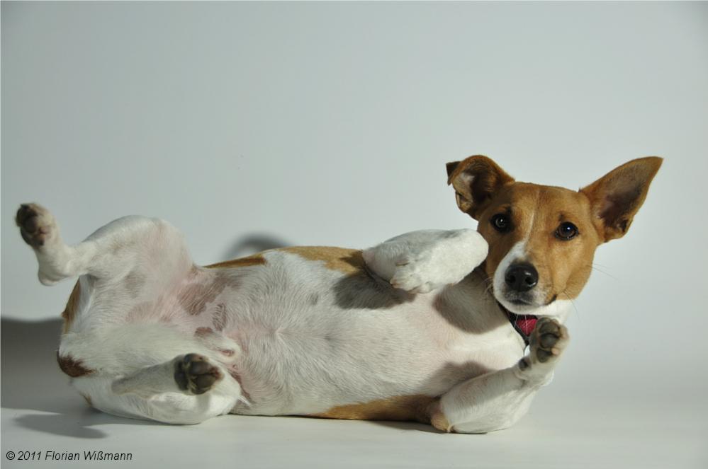 Fotoshooting