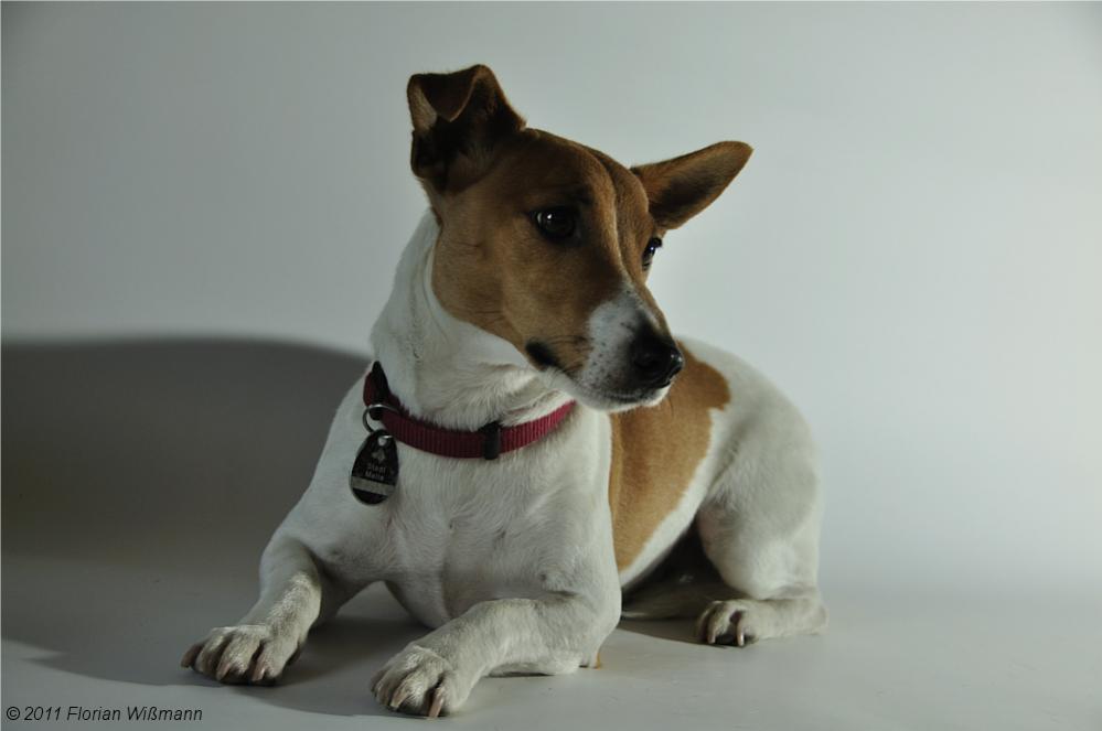 Fotoshooting