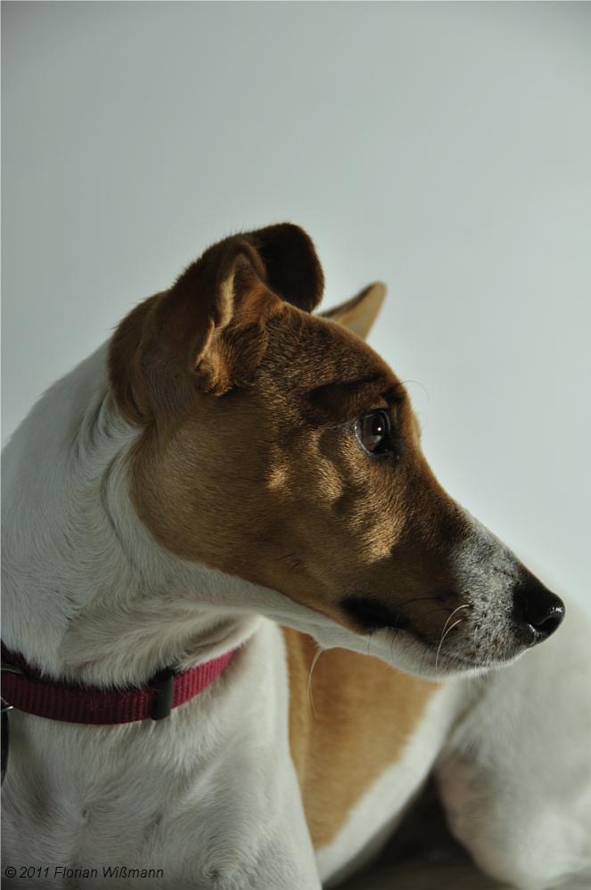 Fotoshooting