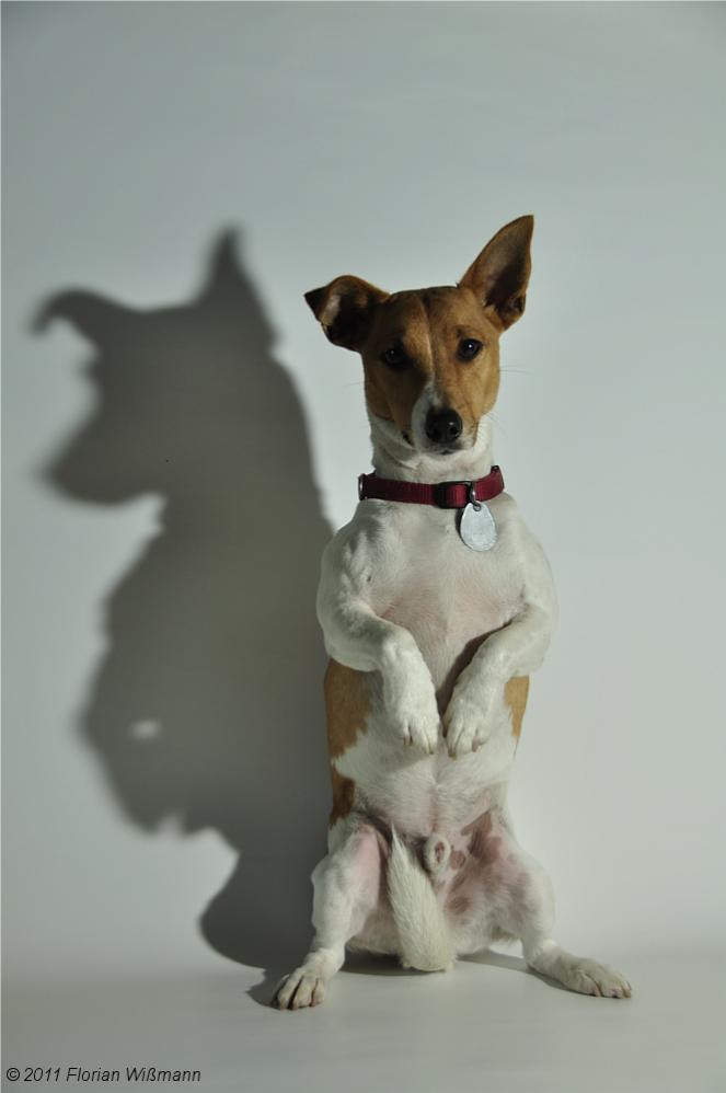 Fotoshooting