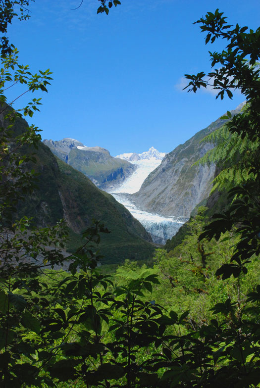 Fox Glacier