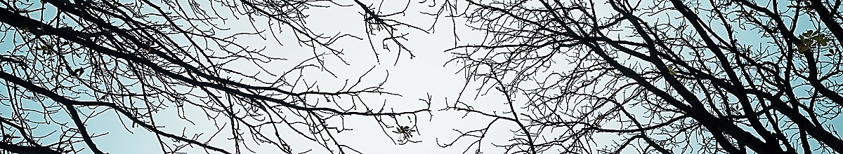 FP5_2024_11_09_10_18_14_1200.jpg