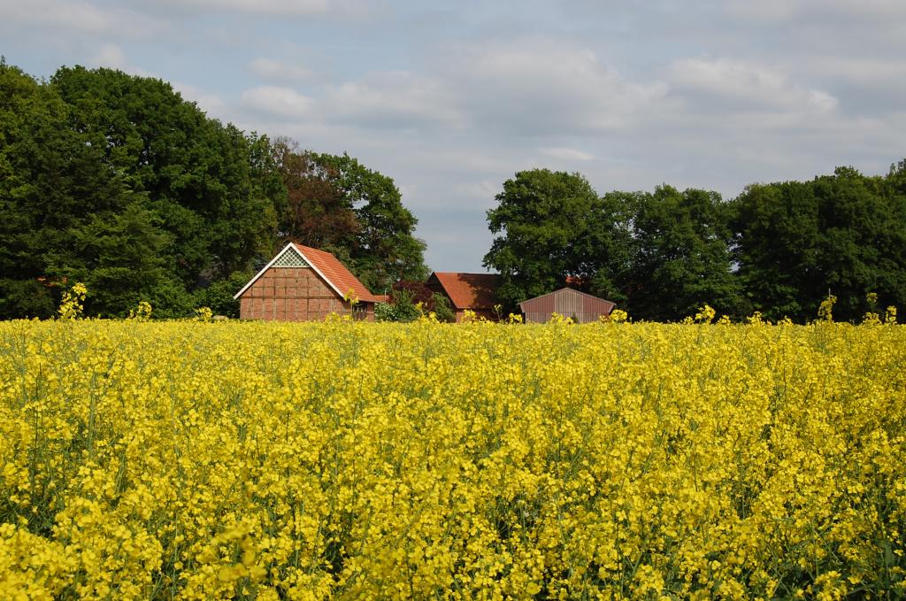Frühling 2009