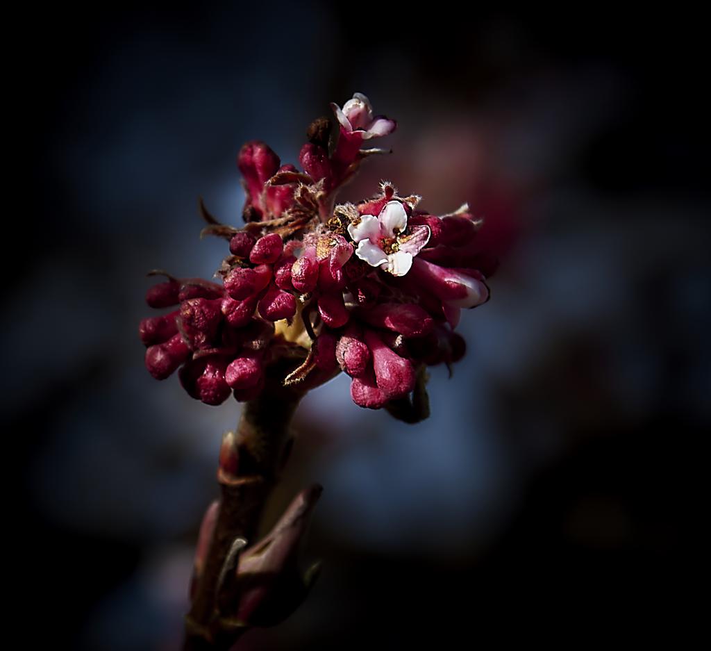 Frühling 2015