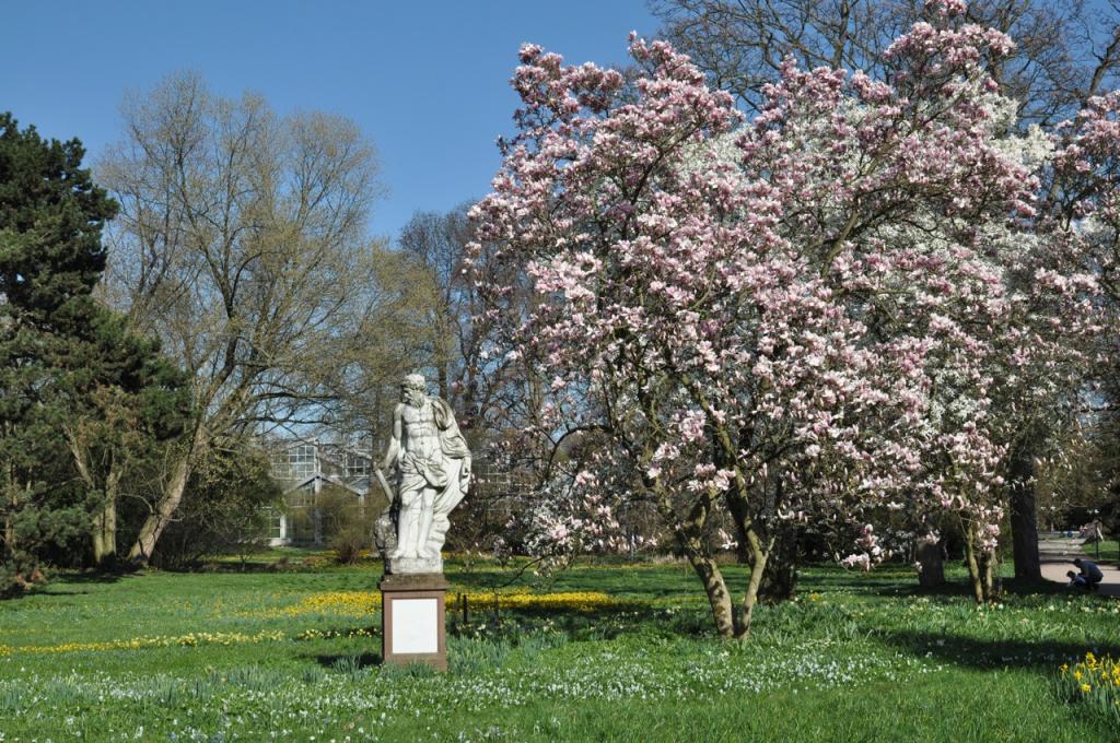 Frühling im Palmengarten