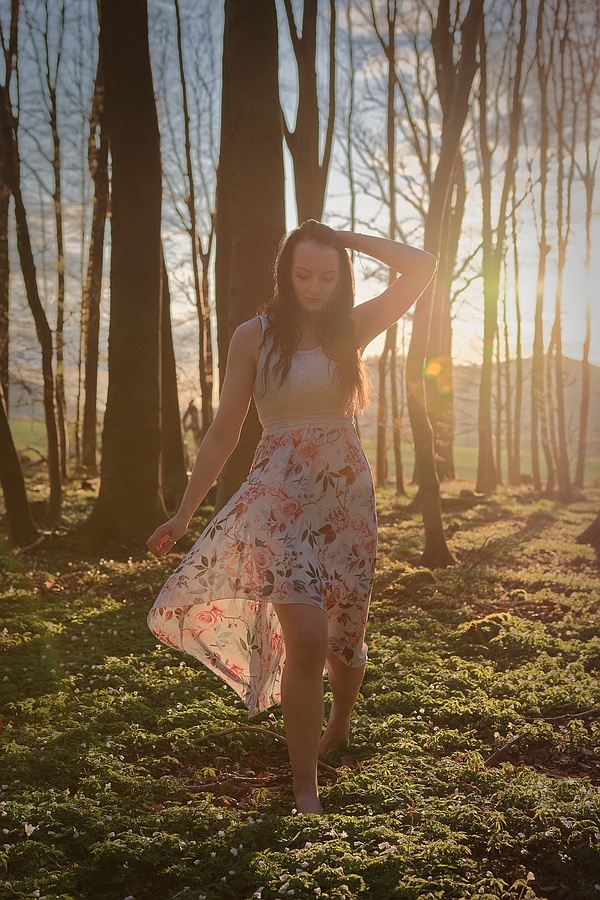 Frühling im Wald
