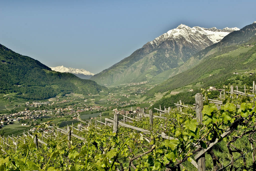 Frühling in Südtirol
(aufgenommen in Dorf Tirol)