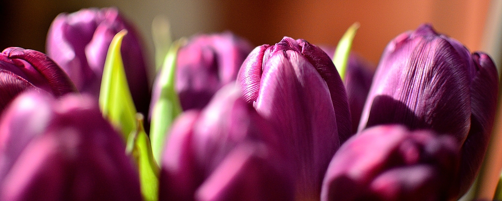 Frühling wo bist Du